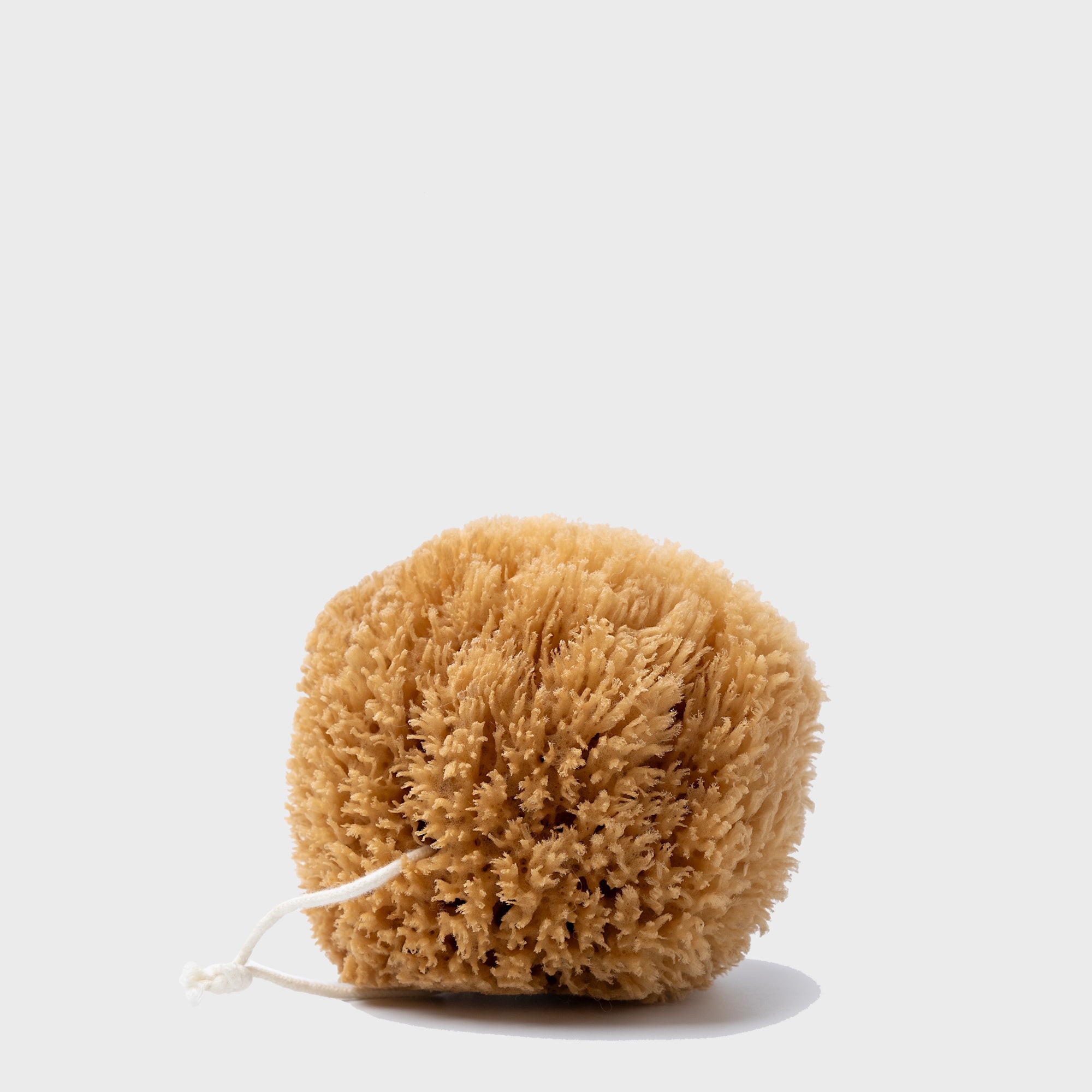Public Goods Personal Care Exfoliating (Grass) Sea Sponge 4