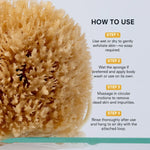 Public Goods Personal Care Exfoliating Grass Sea Sponge