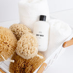 Public Goods Personal Care Exfoliating (Grass) Sea Sponge 4"