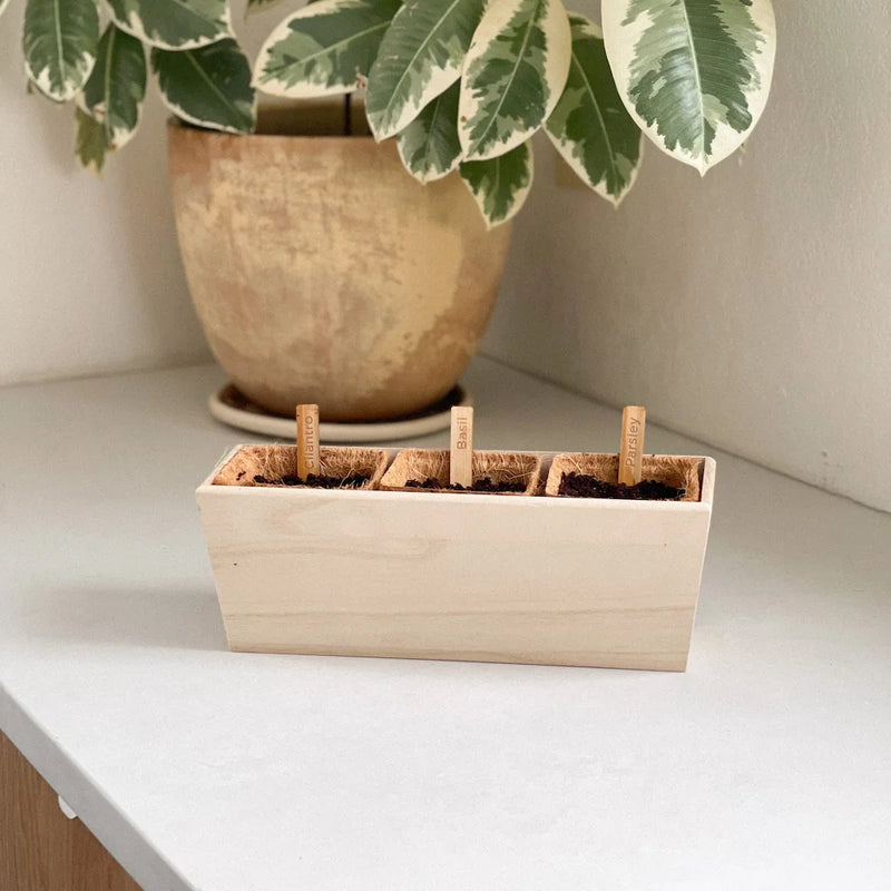 Public Goods Household Indoor Herb Planter