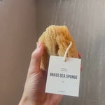 Exfoliating Grass Sea Sponge
