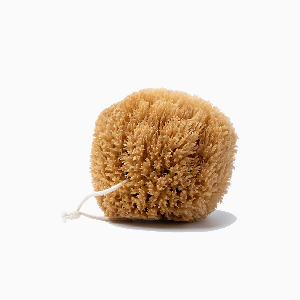 Public Goods Personal Care Natural Grass Sea Sponge