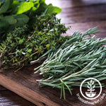 True Leaf Market Grow Kits Seed Starter Kit - Culinary Herb