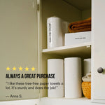 Public Goods Household Tree Free Paper Towels 2 ct (Case of 12)