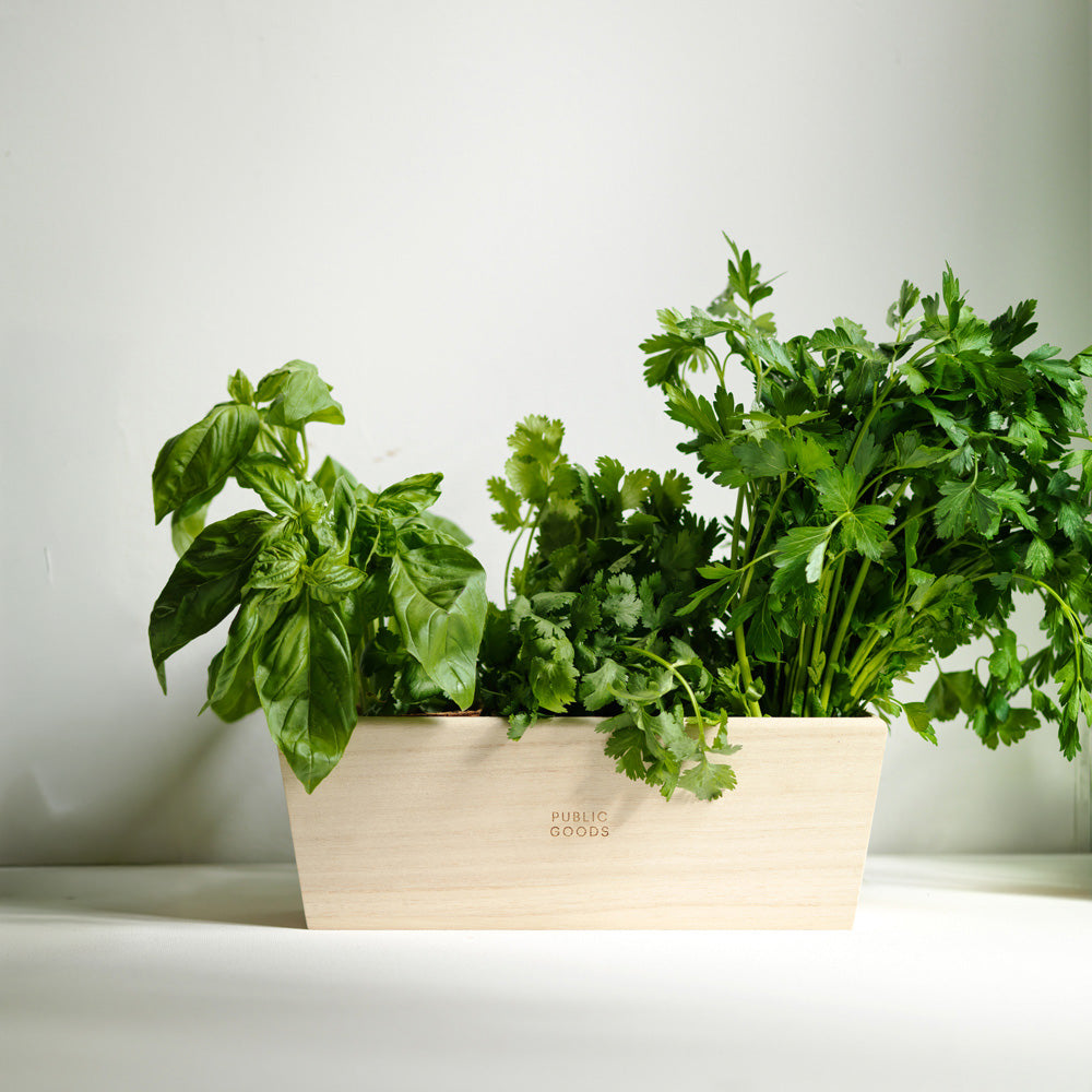 Public Goods Household Wooden Herb Planter
